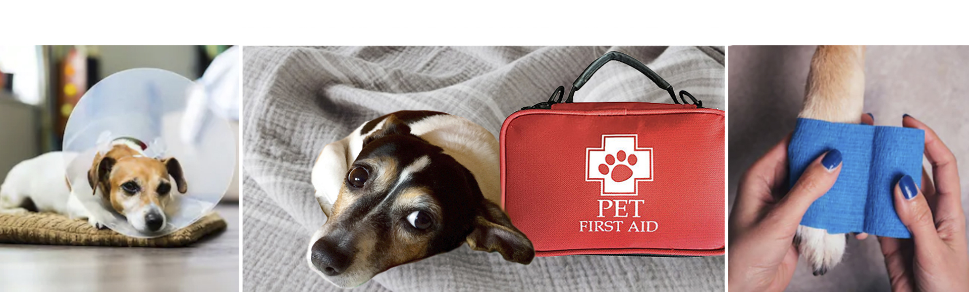 Pet First Aid Kit - New Rattitude